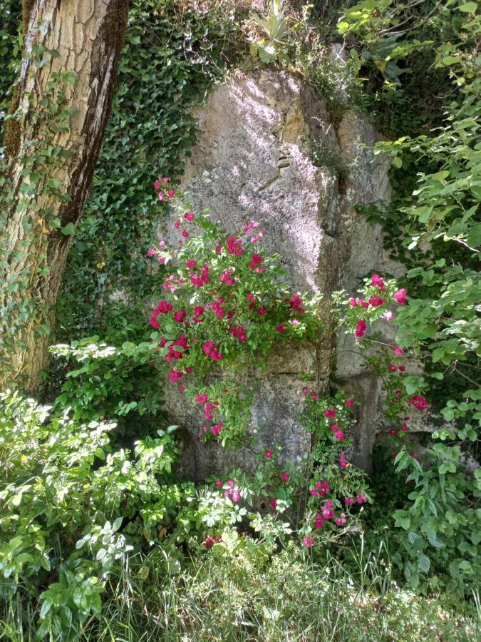 Au Dolmen Bed & Breakfast Brantome Exterior photo